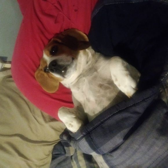 Meet your Posher, Joanne - Picture 1 of 1